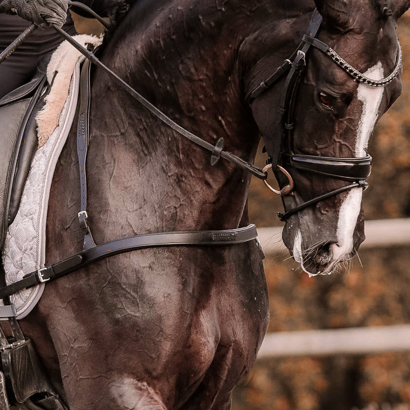 'Alicia' dressage breastplate - black