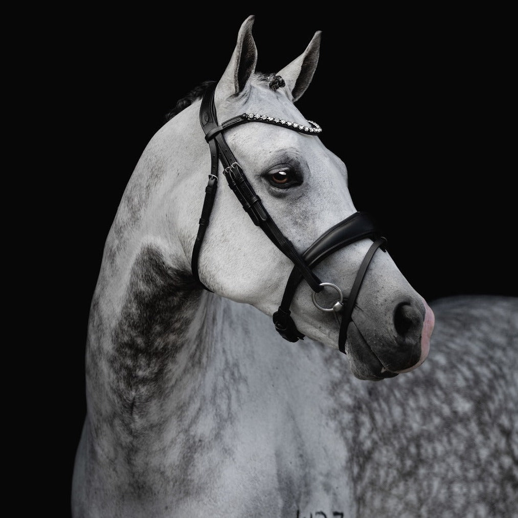 'Abigail' Leather Bridle (Convertible) - Lumiere Equestrian