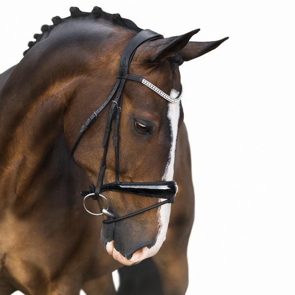 ‘Amie’ rolled bridle (hanoverian) - black - Lumiere Equestrian