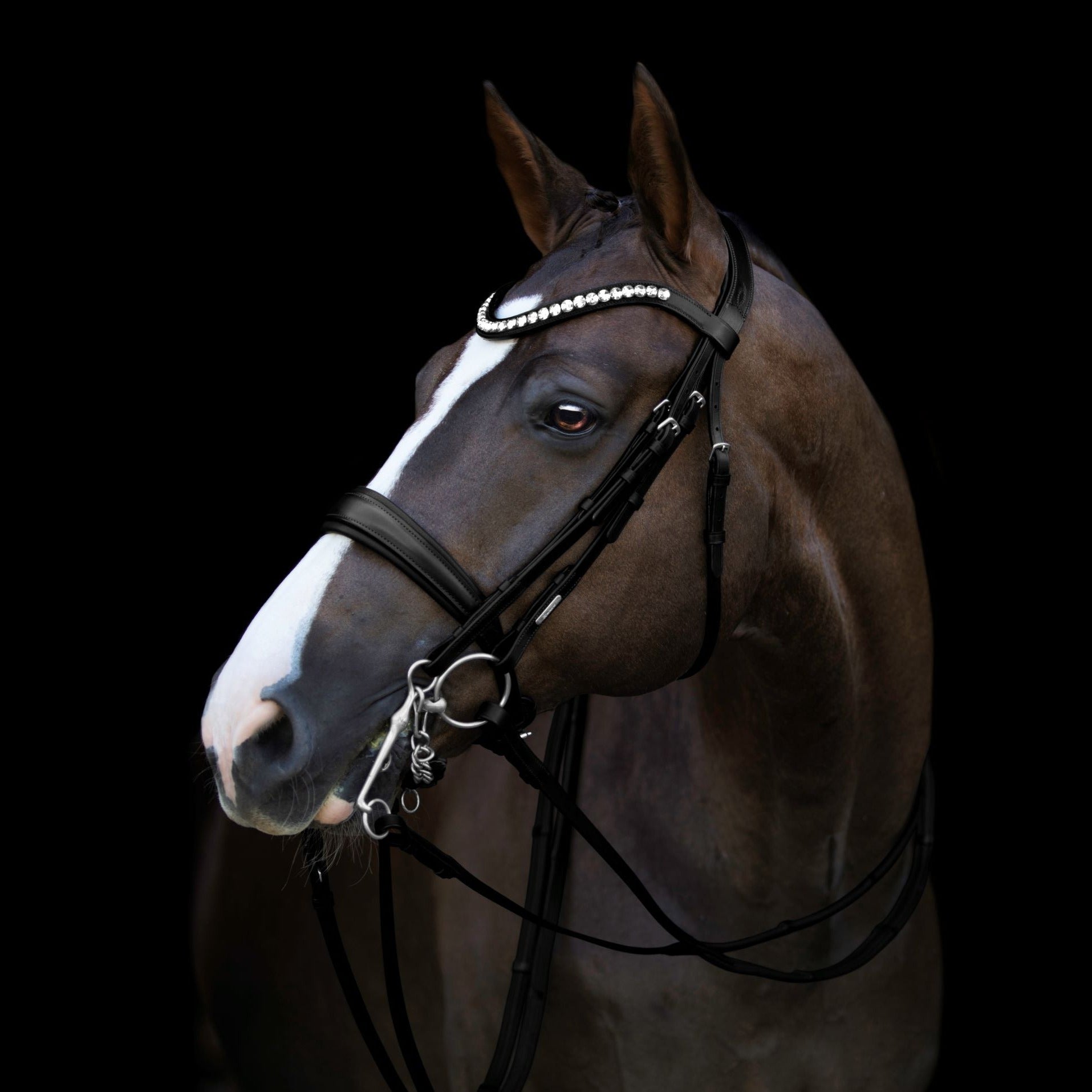 'Athens' luxury leather bridle - (double) - Lumiere Equestrian