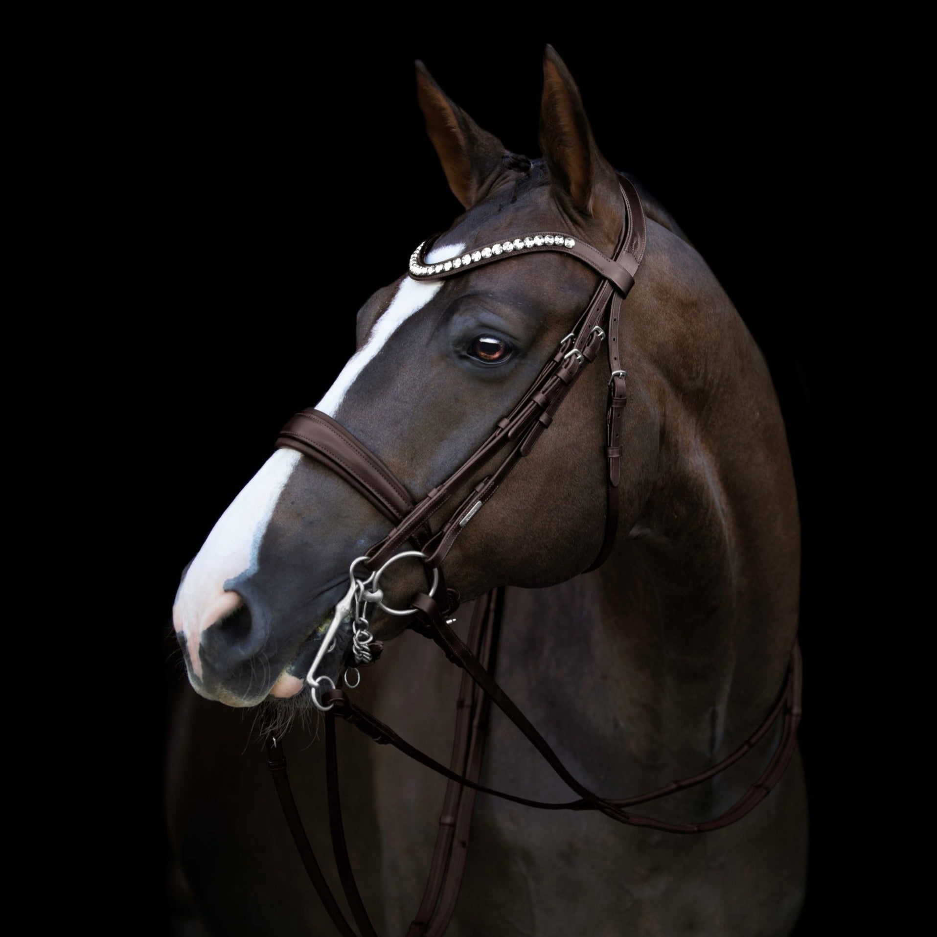 'Athens' luxury leather bridle - (double) - Lumiere Equestrian