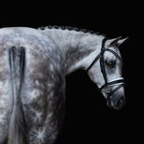 'Melodie' white padded bridle