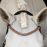 'Aria' bridle (Euro version) - black - Lumiere Equestrian