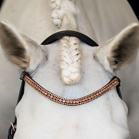 'Aria' bridle (Euro version) - black - Lumiere Equestrian