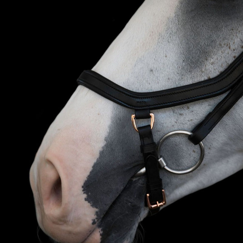 'Aria' bridle (Euro version) - black - Lumiere Equestrian