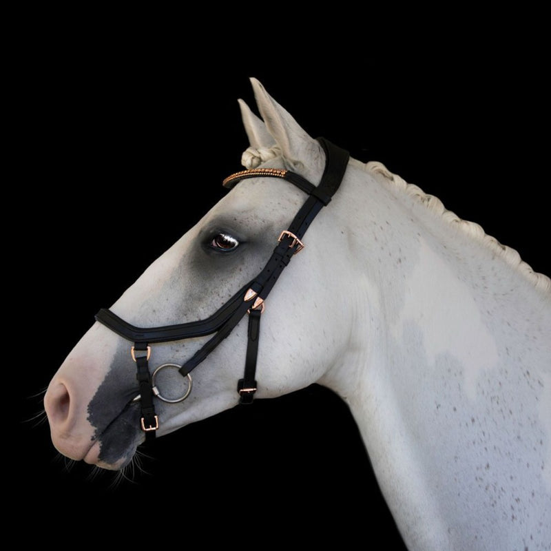 'Aria' bridle (Euro version) - black - Lumiere Equestrian