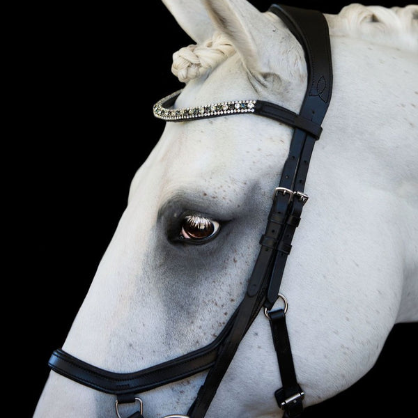 'Azure' bridle (Euro version) - black - Lumiere Equestrian