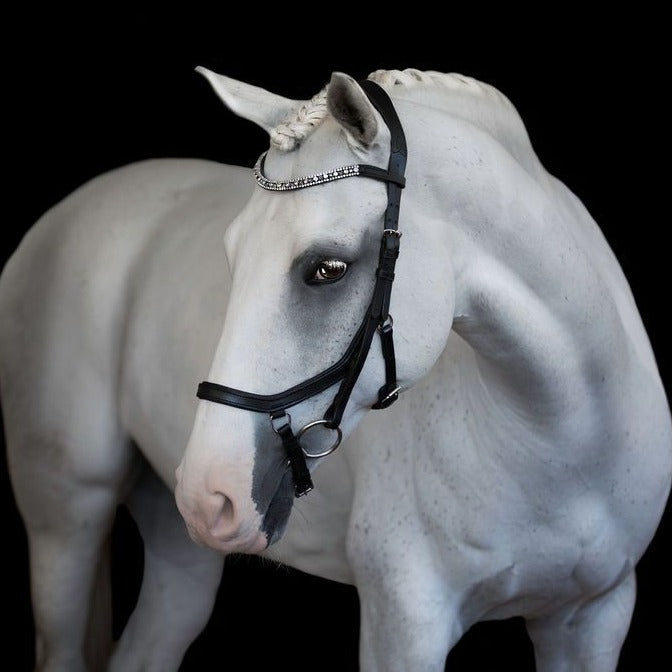 'Azure' bridle (Euro version) - black - Lumiere Equestrian