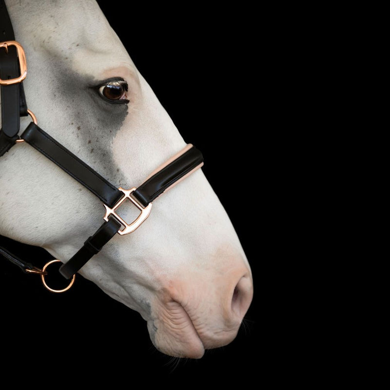 The Therapeutic Horse Halter With Copper/Magnetic Buttons - Leather