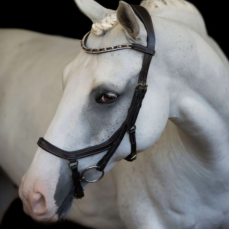 'Amber' anatomic (euro version) bridle - brown - Lumiere Equestrian