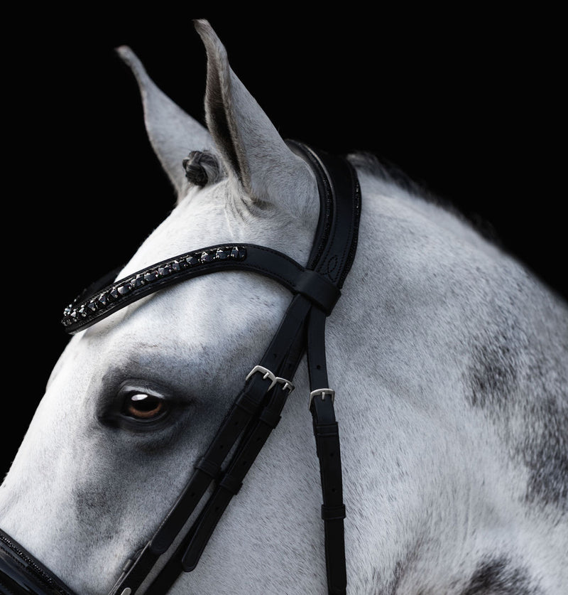 'Arcadia' Luxury Leather Bridle (hanoverian)