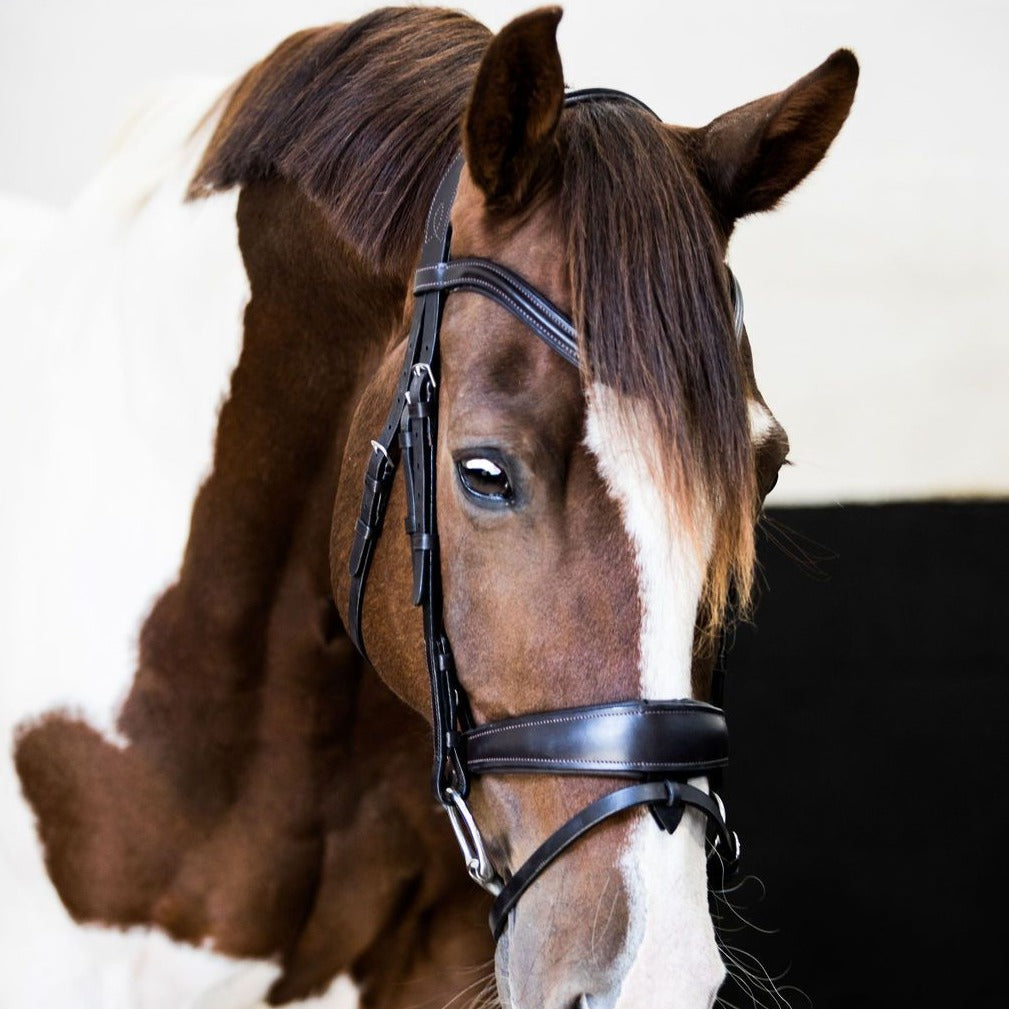 'Mikayla' Italian leather bridle (convertible) - black / brown - Lumiere Equestrian