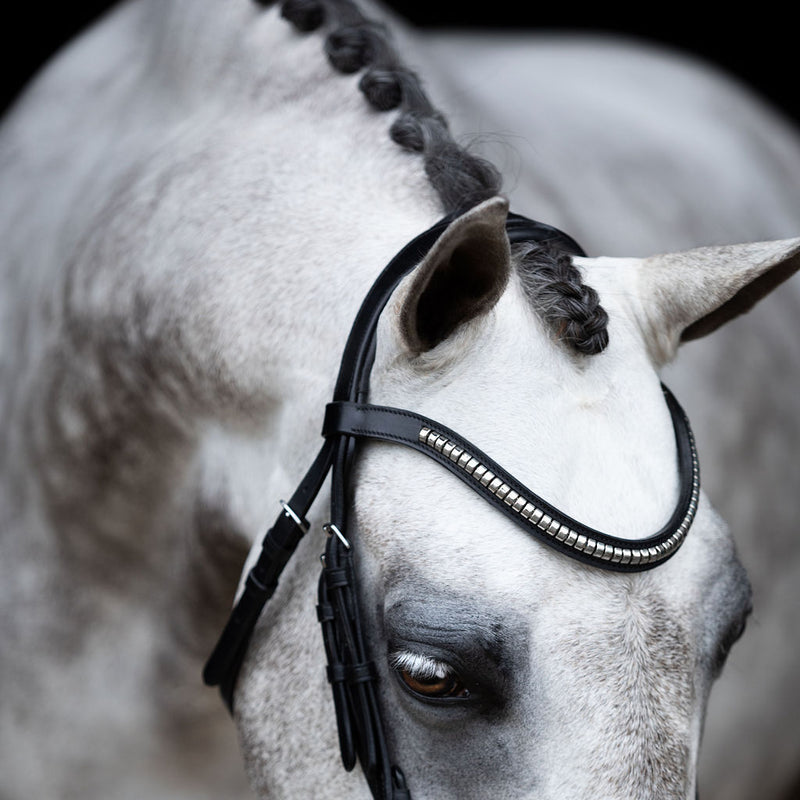 'Melodie' white padded bridle