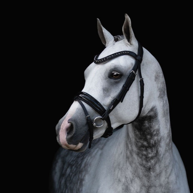 'Arcadia' Luxury Leather Bridle (hanoverian) - Lumiere Equestrian