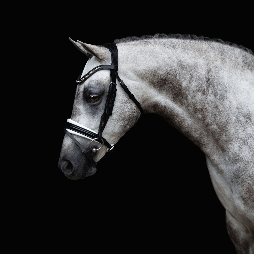 'Melodie' white padded bridle - Lumiere Equestrian