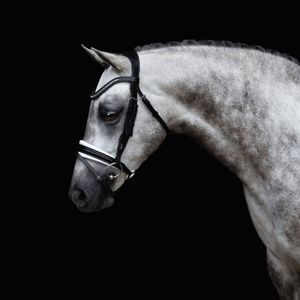 'Melodie' white padded bridle