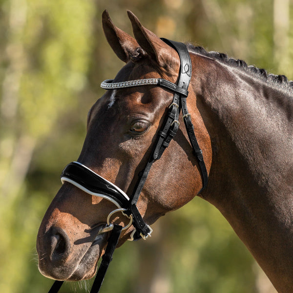 'Adeline' Italian leather bridle (cavesson) - black - Lumiere Equestrian
