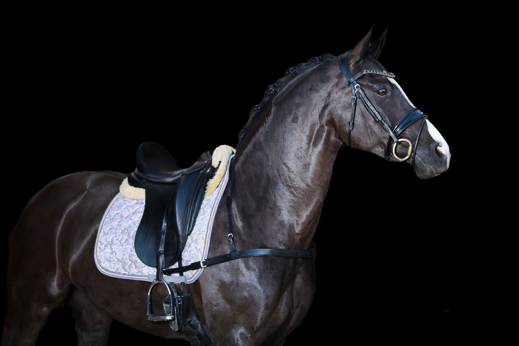 'Alicia' dressage breastplate - black - Lumiere Equestrian