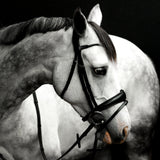 'Alina' Leather Bridle (Convertible)