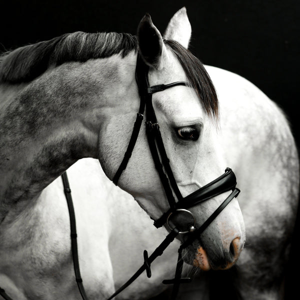 'Alina' Leather Bridle (Convertible)