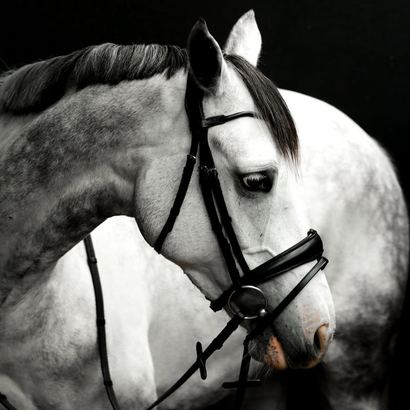 'Alina' Leather Bridle (Convertible)