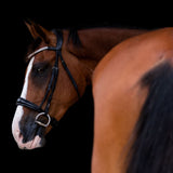 'Amie' Rolled Leather Bridle (Cavesson)