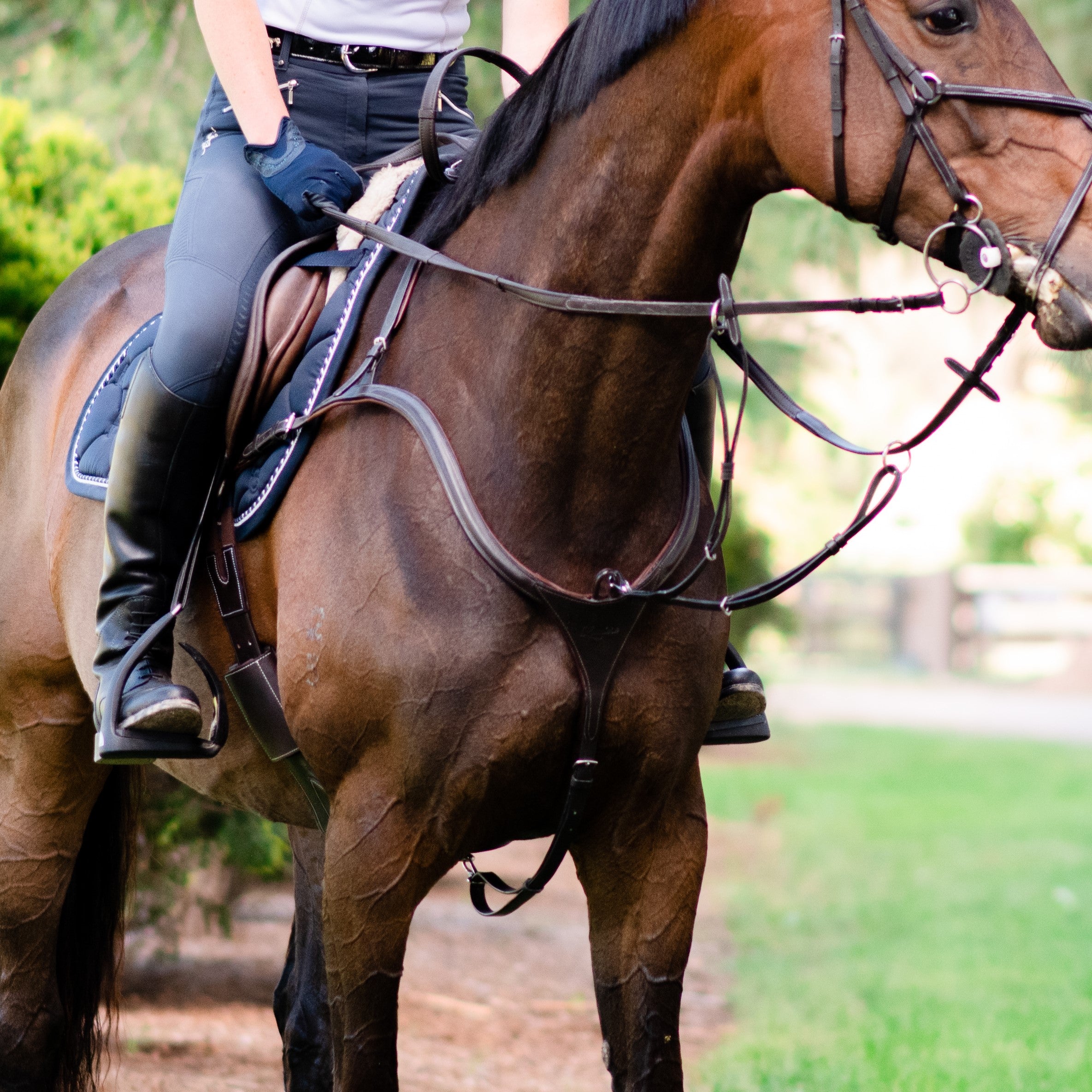 Anka Leather Breastplate – Black & Brown