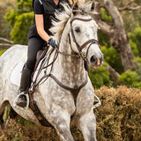 'Anka' breastplate - black & brown - Lumiere Equestrian