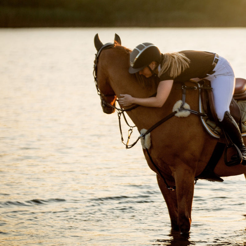 'Antiqua' breastplate - black & brown - Lumiere Equestrian