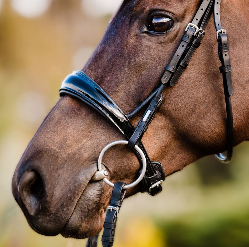 'Aurelie' bridle (cavesson) - Lumiere Equestrian