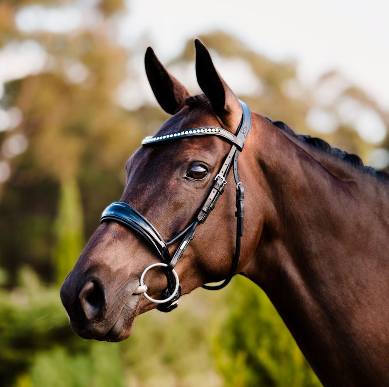 'Aurelie' bridle (cavesson) - Lumiere Equestrian