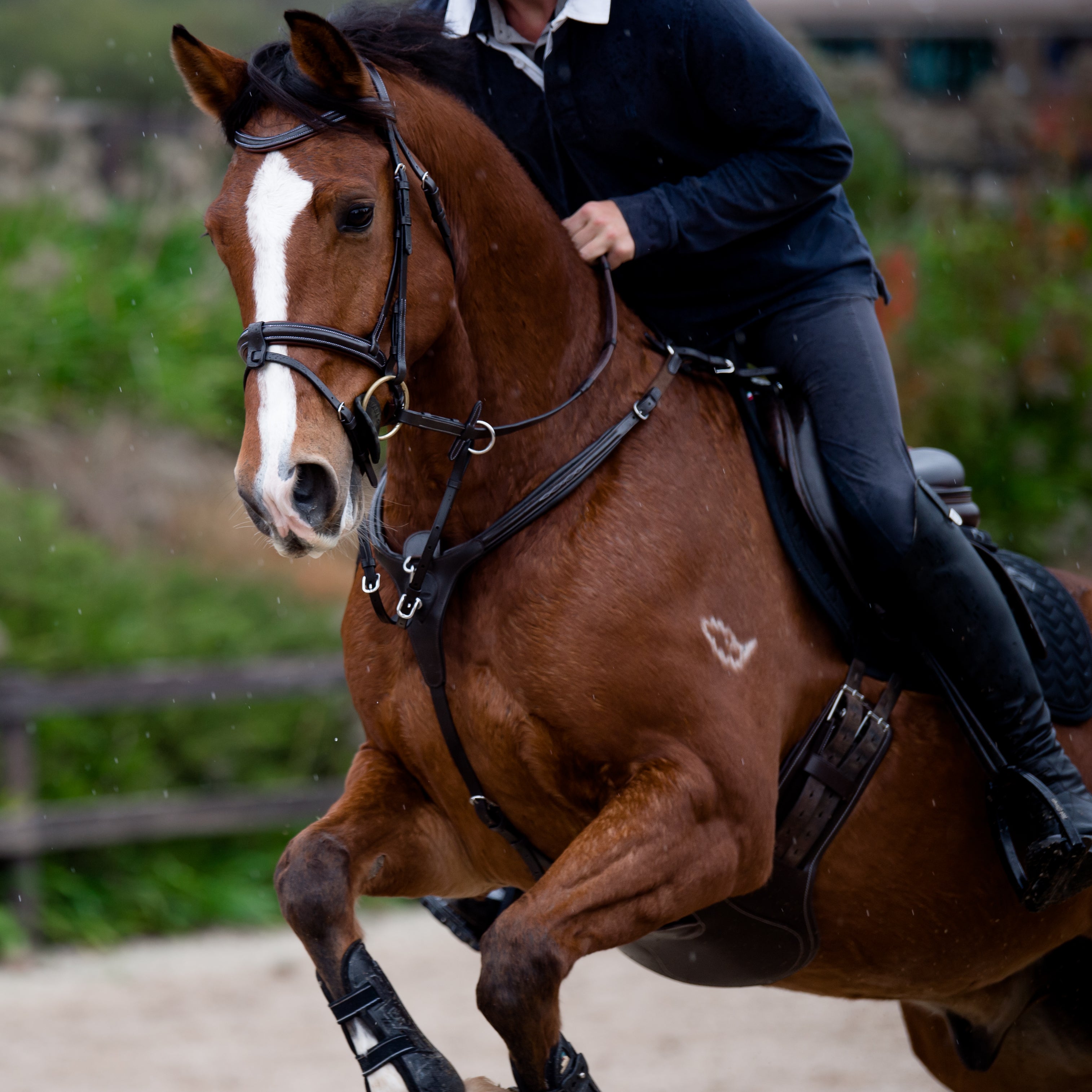 ‘Victory' 3-point Leather Breastplate - Lumiere Equestrian