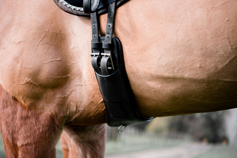 Anatomic dressage girth - build your own (leather padding) - Lumiere Equestrian
