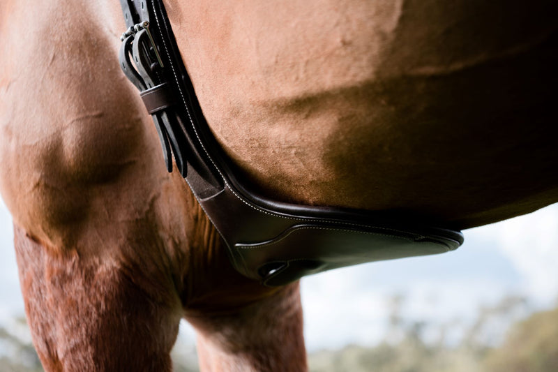 Short stud girth - build your own (shell) - Lumiere Equestrian