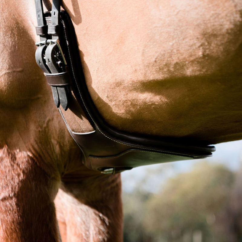 Short stud girth - Lumiere Equestrian