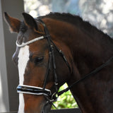 'Adeline' Italian leather bridle (cavesson) - black - Lumiere Equestrian