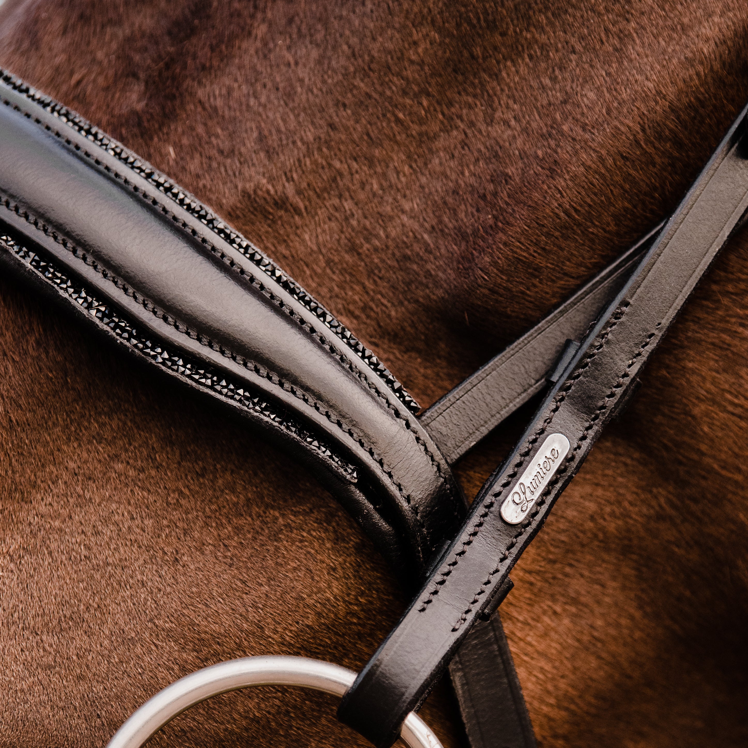'Arcadia' Luxury Leather Bridle (hanoverian) - Lumiere Equestrian