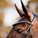 'Aurelie' bridle (cavesson) - Lumiere Equestrian