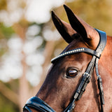 'Aurelie' bridle (hanoverian) - black - Lumiere Equestrian