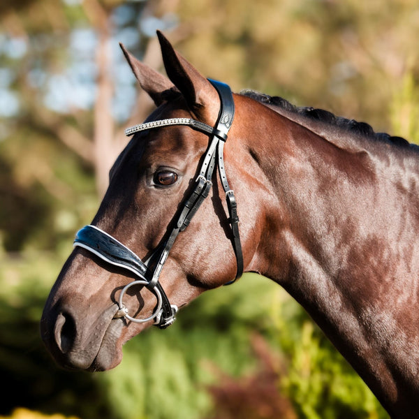 'Adeline' bridle (cavesson) - Lumiere Equestrian