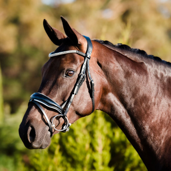 'Adeline' bridle (hanoverian) - Lumiere Equestrian