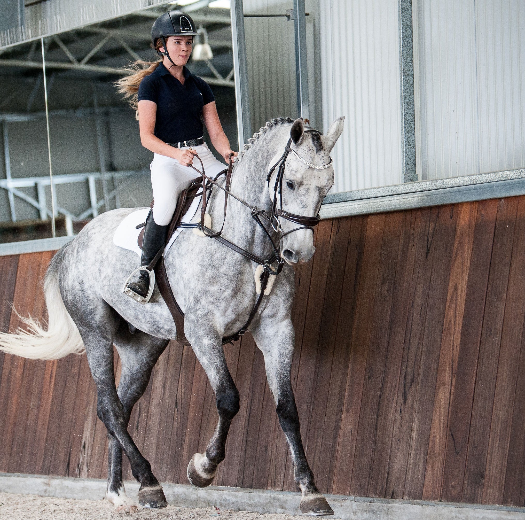 'Antiqua' breastplate - black & brown - Lumiere Equestrian
