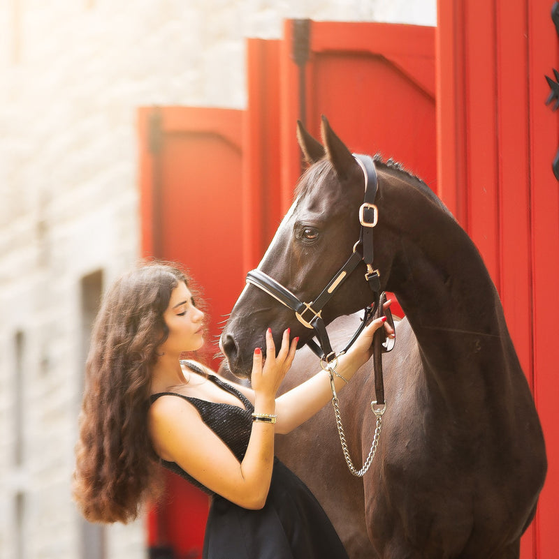 'Hollywood' leather halter - Lumiere Equestrian