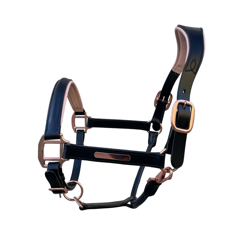 'Hollywood' leather halter - Lumiere Equestrian