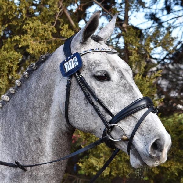 'Anastasia' Italian leather bridle (convertible) - black - Lumiere Equestrian