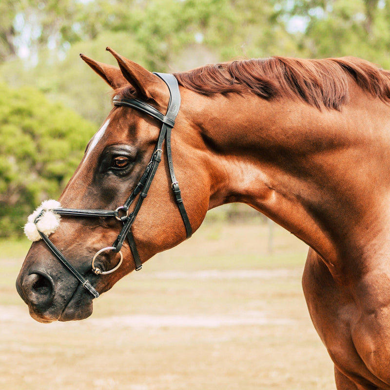 'Ava' Italian leather grackle bridle - black & brown - Lumiere Equestrian