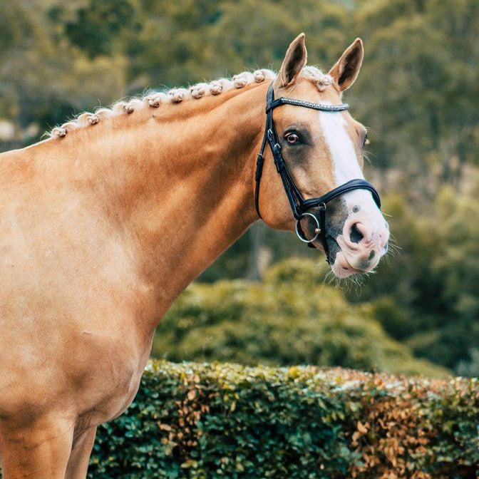 'Mila' Italian leather bridle - Lumiere Equestrian