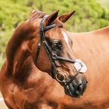 'Ava' Italian leather grackle bridle - black & brown - Lumiere Equestrian