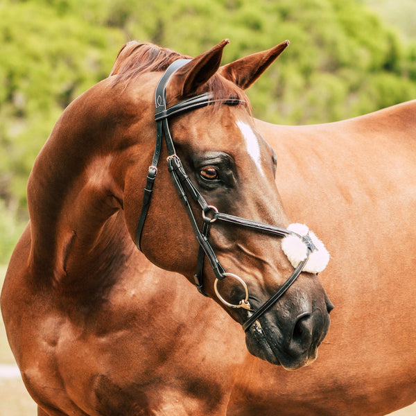 'Ava' Grackle Bridle - (clearance) WB black only