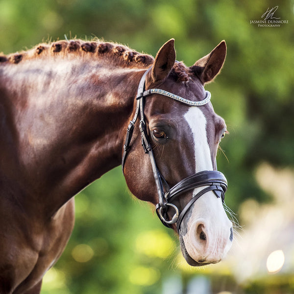 'Anastasia' Italian leather bridle (convertible) - brown - Lumiere Equestrian